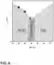 Fig. 06 - METHOD OF DESIGNING MAGNETISM IN COMPOSITIONALLY COMPLEX OXIDES