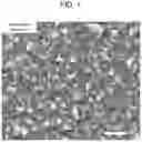 Fig. 02 - METHOD FOR PLANARIZING CIS-BASED THIN FILM, CIS-BASED THIN FILM MANUFACTURED USING THE SAME, AND SOLAR CELL COMPRISING CIS-BASED THIN FILM