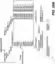 Fig. 24 - MULTIPLE-TRANSMISSION-RECEPTION-POINT MEASUREMENT AND TRANSMISSION IN WIRELESS COMMUNICATION SYSTEM