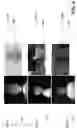 Fig. 07 - Solar blind imaging