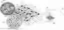 Fig. 01 - IN VIVO SCREENING ARRAY