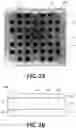 Fig. 05 - IN VIVO SCREENING ARRAY