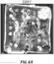Fig. 08 - IN VIVO SCREENING ARRAY