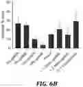 Fig. 09 - IN VIVO SCREENING ARRAY