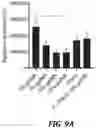 Fig. 14 - IN VIVO SCREENING ARRAY