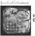 Fig. 15 - IN VIVO SCREENING ARRAY