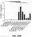 Fig. 17 - IN VIVO SCREENING ARRAY