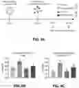 Fig. 33 - NANOPARTICLE IMMUNOGENIC COMPOSITIONS AND VACCINATION METHODS