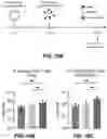 Fig. 38 - NANOPARTICLE IMMUNOGENIC COMPOSITIONS AND VACCINATION METHODS