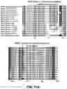 Fig. 41 - NANOPARTICLE IMMUNOGENIC COMPOSITIONS AND VACCINATION METHODS