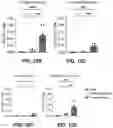 Fig. 46 - NANOPARTICLE IMMUNOGENIC COMPOSITIONS AND VACCINATION METHODS