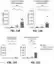 Fig. 47 - NANOPARTICLE IMMUNOGENIC COMPOSITIONS AND VACCINATION METHODS