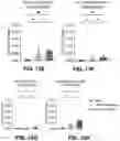 Fig. 48 - NANOPARTICLE IMMUNOGENIC COMPOSITIONS AND VACCINATION METHODS