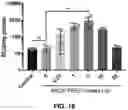 Fig. 53 - NANOPARTICLE IMMUNOGENIC COMPOSITIONS AND VACCINATION METHODS