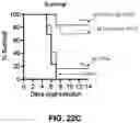 Fig. 61 - NANOPARTICLE IMMUNOGENIC COMPOSITIONS AND VACCINATION METHODS