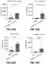 Fig. 64 - NANOPARTICLE IMMUNOGENIC COMPOSITIONS AND VACCINATION METHODS