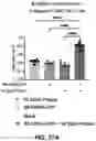 Fig. 67 - NANOPARTICLE IMMUNOGENIC COMPOSITIONS AND VACCINATION METHODS
