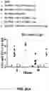 Fig. 79 - NANOPARTICLE IMMUNOGENIC COMPOSITIONS AND VACCINATION METHODS