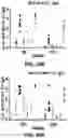 Fig. 80 - NANOPARTICLE IMMUNOGENIC COMPOSITIONS AND VACCINATION METHODS