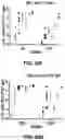 Fig. 82 - NANOPARTICLE IMMUNOGENIC COMPOSITIONS AND VACCINATION METHODS