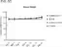 Fig. 09 - AGENTS FOR SENSITIZING SOLID TUMORS TO TREATMENT