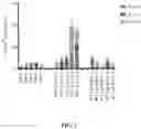 Fig. 02 - WT1 VACCINE