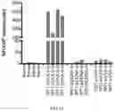 Fig. 10 - WT1 VACCINE