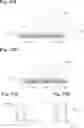 Fig. 07 - CONTROL DEVICE INTENDED TO CONTROL A FUNCTION OF A MOTOR VEHICLE