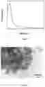 Fig. 02 - Method for Obtaining Bimodal Mesoporous Materials Based on Silicon Oxides Using Microwave Radiation