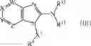 Fig. 167 - PROTEASOME ENHANCERS AND USES THEREOF