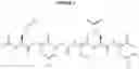Fig. 02 - Solution phase routes for WNT hexapeptides