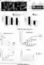 Fig. 02 - Anti-Inflammatory Polypeptides