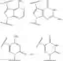 Fig. 19 - SILICON CONTAINING DETECTABLE COMPOUNDS