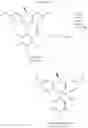 Fig. 557 - SILICON CONTAINING DETECTABLE COMPOUNDS