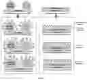 Fig. 02 - Biological Detection Sensor Chip and COVID-19 Test Kit