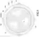 Fig. 06 - Planetary gear assembly