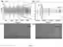Fig. 07 - DEVICE AND METHOD FOR DETERMINING A MECHANICAL PROPERTY OF A PARTICLE