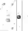 Fig. 02 - Artificial intelligence-based timing, imaging, and tracking system for the participatory athletic event market