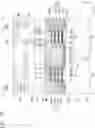 Fig. 06 - SEMICONDUCTOR DEVICE