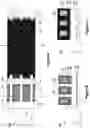 Fig. 02 - 3D HORIZONTAL MEMORY CELL WITH SEQUENTIAL 3D VERTICAL STACKING