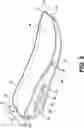 Fig. 03 - ARTICLE OF FOOTWEAR INCLUDING A SOLE STRUCTURE
