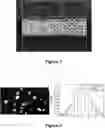 Fig. 02 - NANOPARTICLE CANCER THERAPY