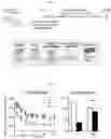 Fig. 03 - PULMONARY FUNCTION TREATMENT