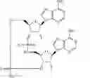 Fig. 197 - 3′3′ CYCLIC DINUCLEOTIDES WITH AN ALKENYLENE