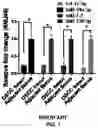 Fig. 02 - COMPOSITIONS AND METHODS FOR ENHANCING NUCLEIC ACID THERAPEUTICS