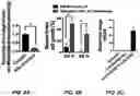 Fig. 09 - COMPOSITIONS AND METHODS FOR ENHANCING NUCLEIC ACID THERAPEUTICS