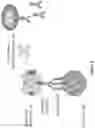 Fig. 03 - COMPOSITIONS AND METHODS OF CHIMERIC AUTOANTIBODY RECEPTOR T CELLS