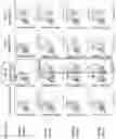Fig. 11 - COMPOSITIONS AND METHODS OF CHIMERIC AUTOANTIBODY RECEPTOR T CELLS