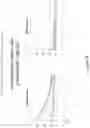 Fig. 19 - COMPOSITIONS AND METHODS OF CHIMERIC AUTOANTIBODY RECEPTOR T CELLS