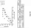 Fig. 24 - COMPOSITIONS AND METHODS OF CHIMERIC AUTOANTIBODY RECEPTOR T CELLS
